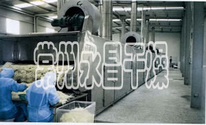 DWC系列脱水蔬菜带式干燥机