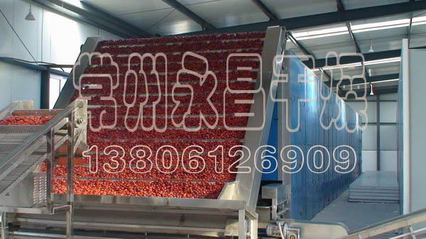 DW多层带式干燥机