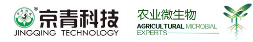 山东京青农业科技