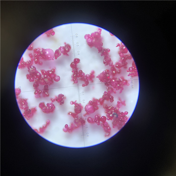 甜菜根喷雾造粒干燥机，南京某生物试料-常州永昌制粒