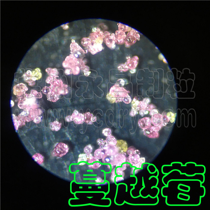 永昌制粒-蔓越莓汁浓缩提取液喷雾干燥机，蔓越莓汁颗粒制粒机
