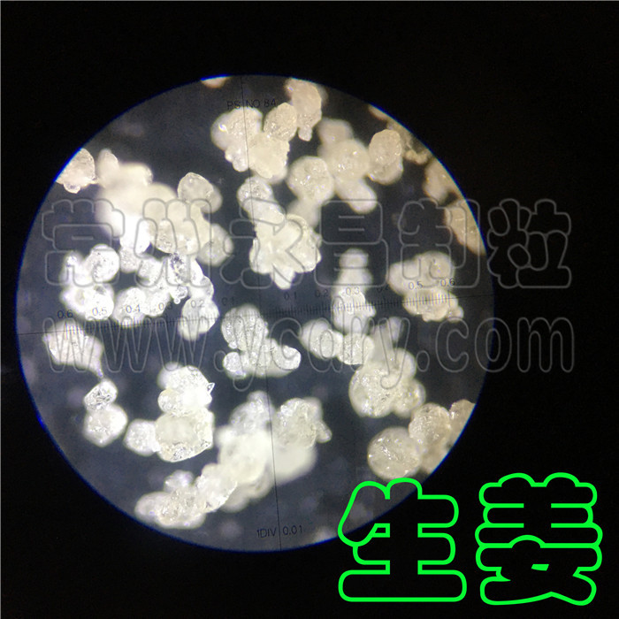 永昌制粒-麦芽糊精+生姜果汁喷雾干燥机，生姜果汁喷雾造粒设备