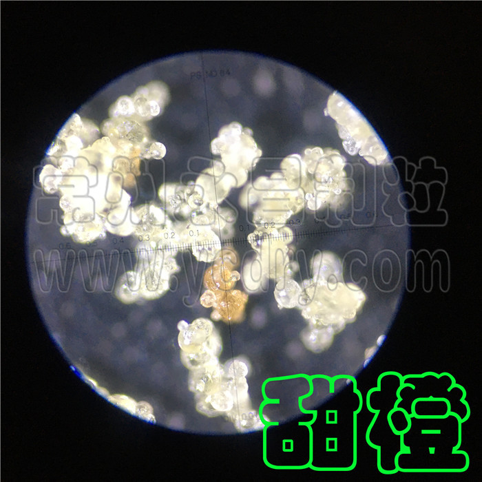 甜橙果汁喷雾干燥机，甜橙汁速溶颗粒喷雾造粒设备