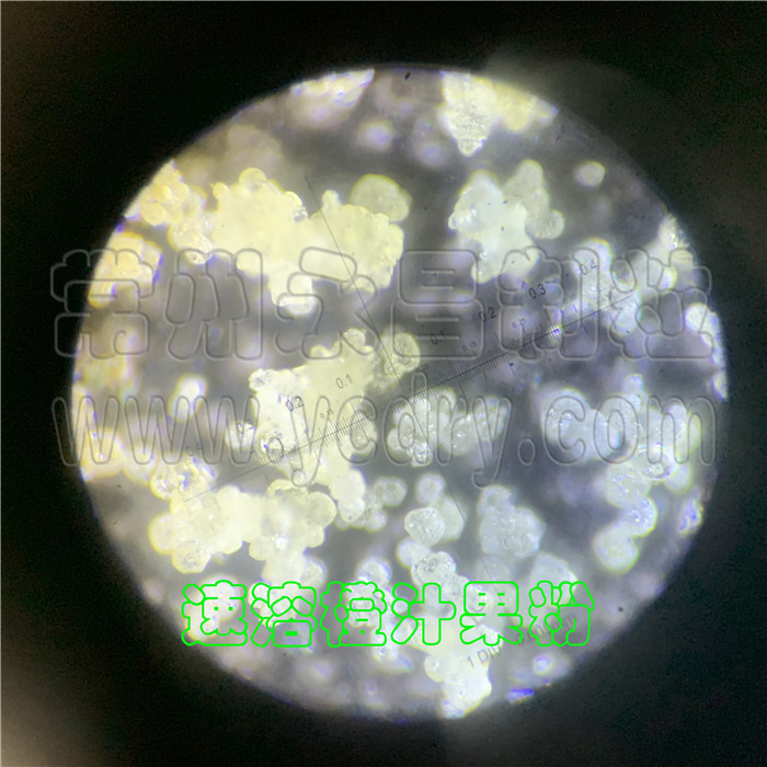 速溶果粉制粒机-速溶果汁粉造粒机