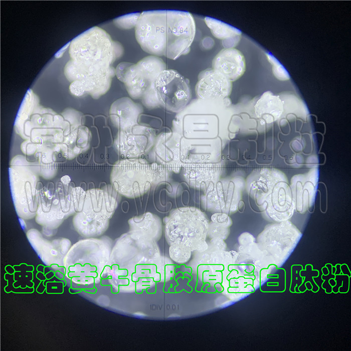 SPLG聚合喷雾流化造粒干燥机(永昌制粒,料液干燥成速溶冲剂颗粒)