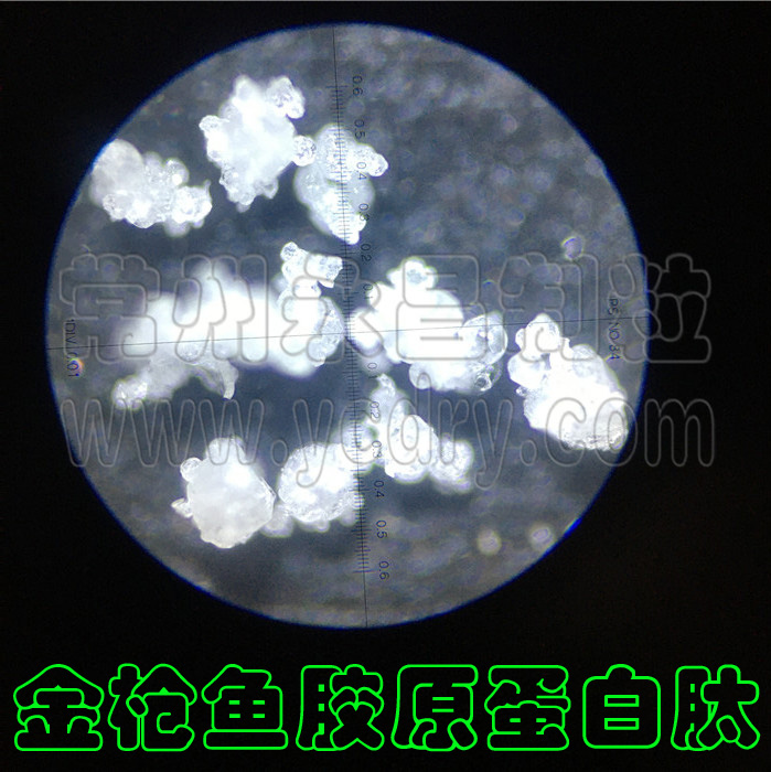 胶原蛋白粉喷雾干燥机-蛋白粉制粒机