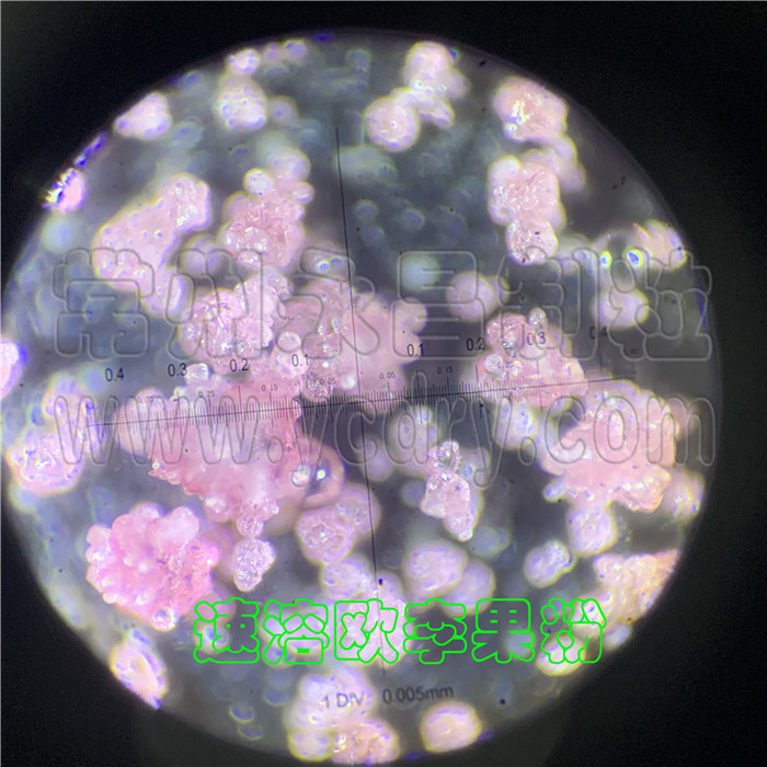 果汁速溶粉喷雾干燥塔-果汁速溶粉喷雾造粒塔