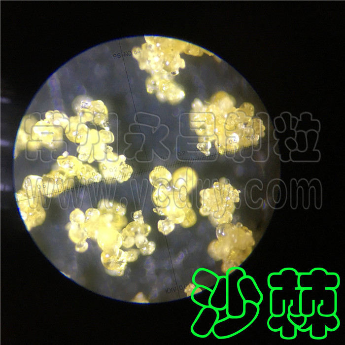 沙棘果粉造粒机-沙棘速溶粉喷雾造粒塔
