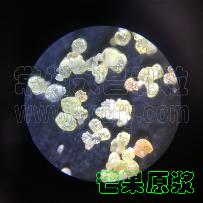 芒果速溶粉喷雾干燥机-芒果粉造粒机